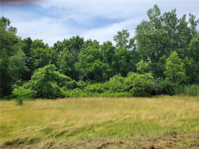5465 Ridge Rd, Fleming, NY 13021 - view of local wilderness