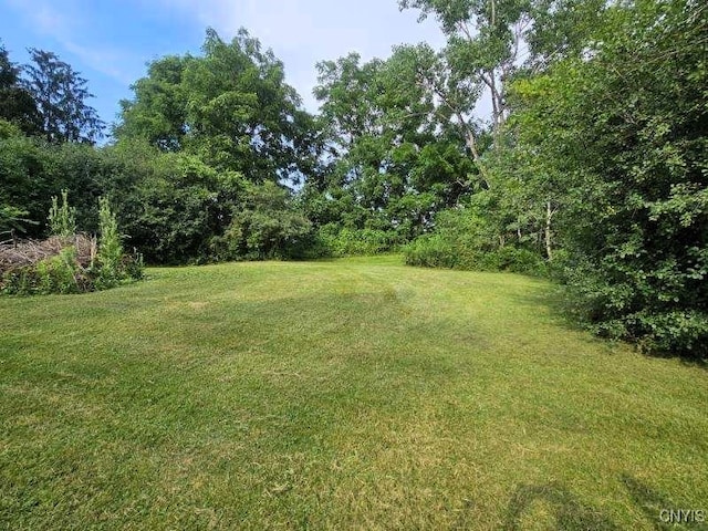5465 Ridge Rd, Fleming, NY 13021 - view of grassy yard