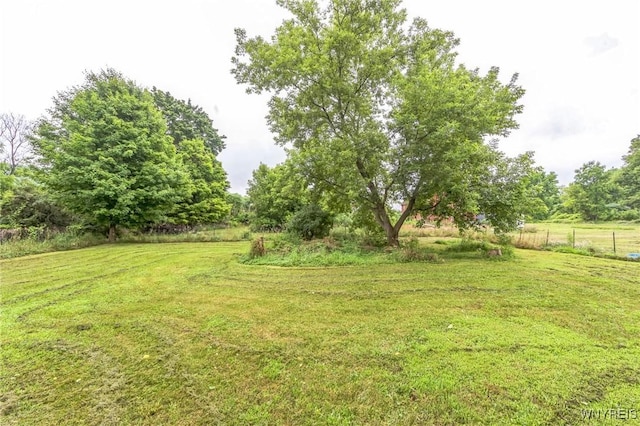6192 Scudder Rd, Bath, NY 14879 - view of yard