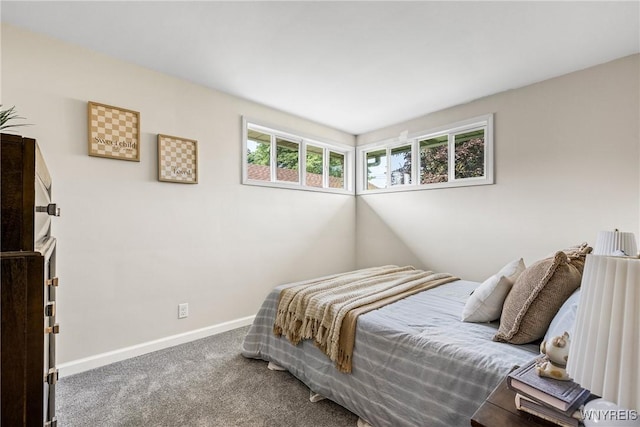 202 Waltercrest, West Seneca, NY 14224 - carpeted bedroom with baseboards