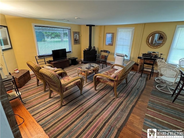 5469 E Lake Rd, Chautauqua, NY 14728 - living area with a wood stove, dark wood-style flooring, and plenty of natural light