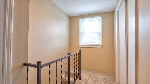 81 Oak St, Geneva City, NY 14456 - photo 23