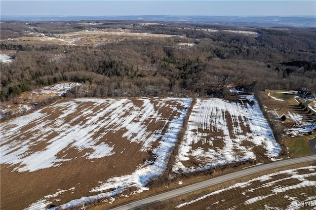 Bennett Rd, Litchfield, NY 13340 - photo 1