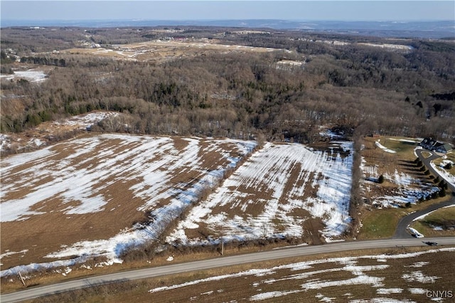 Bennett Rd, Litchfield, NY 13340 - photo 2