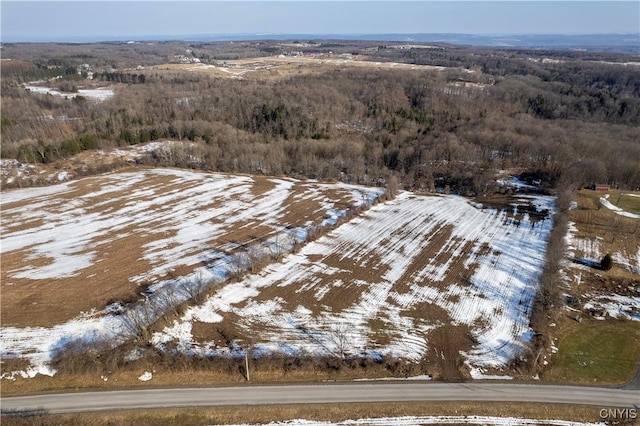 Bennett Rd, Litchfield, NY 13340 - photo 3