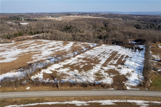 Bennett Rd, Litchfield, NY 13340 - photo 4
