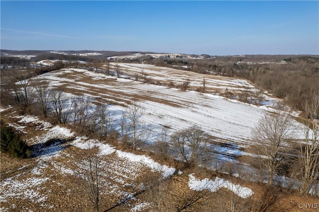 Bennett Rd, Litchfield, NY 13340 - photo 6