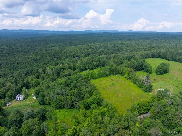 Hadcock Rd, Stratford, NY 13470