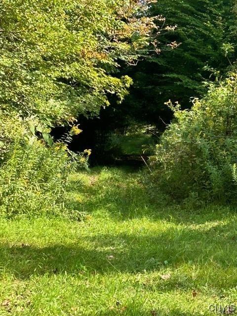 Hadcock Rd, Stratford, NY 13470