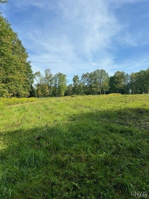 Hadcock Rd, Stratford, NY 13470