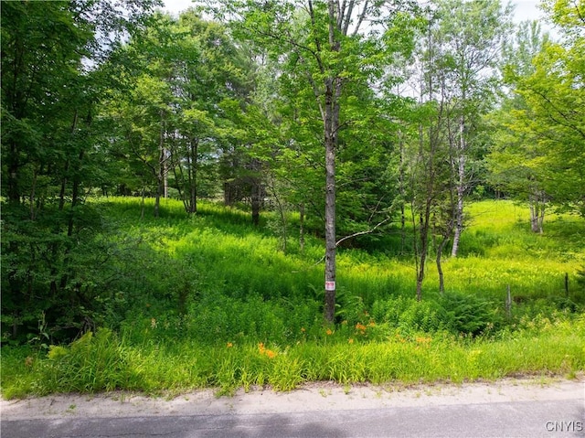 Hadcock Rd, Stratford, NY 13470