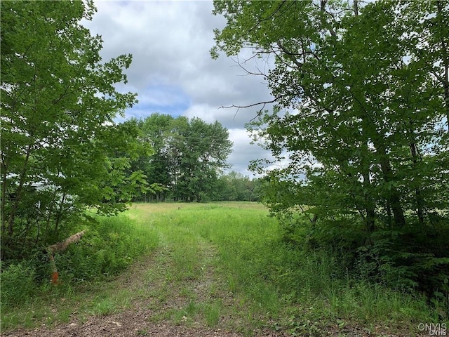 Hadcock Rd, Stratford, NY 13470