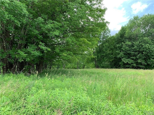 Hadcock Rd, Stratford, NY 13470