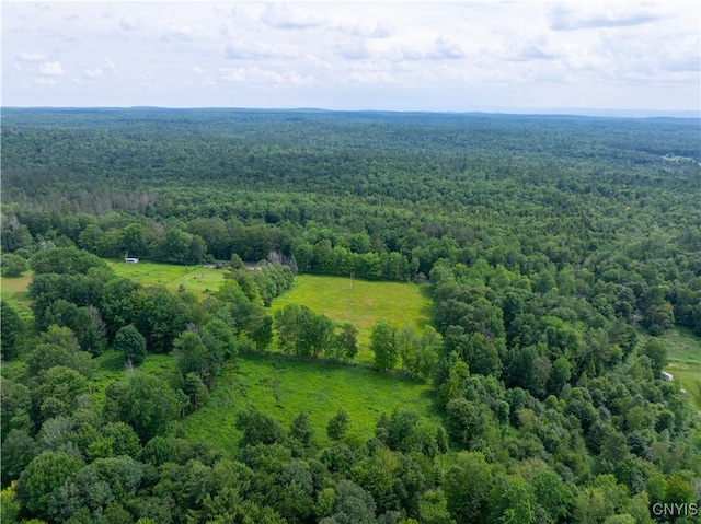 Hadcock Rd, Stratford, NY 13470