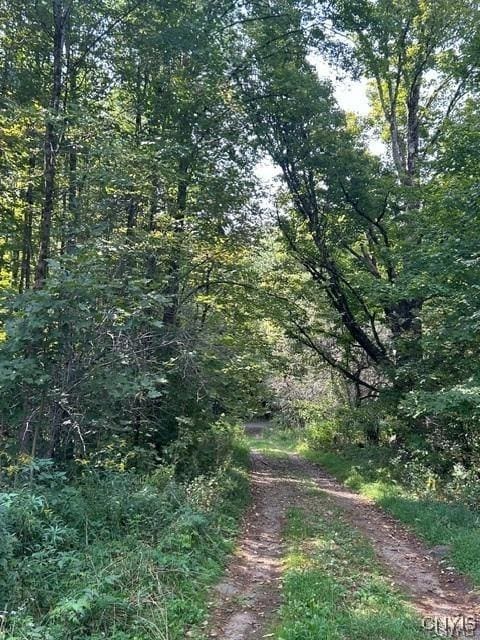 Hadcock Rd, Stratford, NY 13470