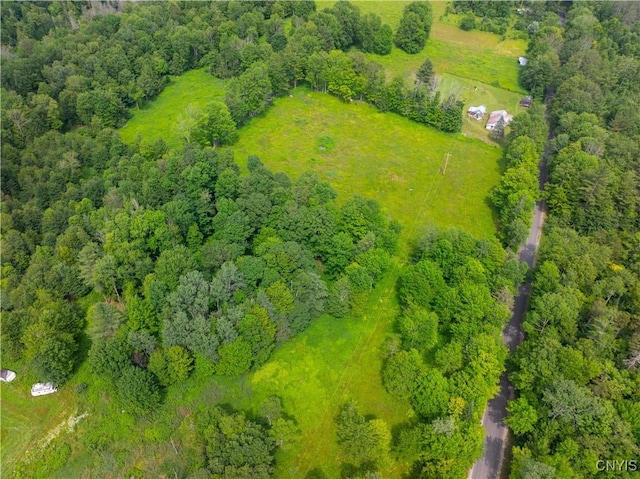 Hadcock Rd, Stratford, NY 13470