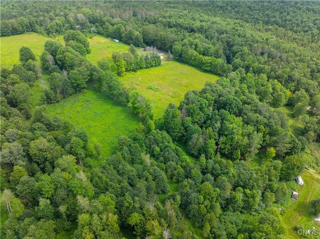 Hadcock Rd, Stratford, NY 13470
