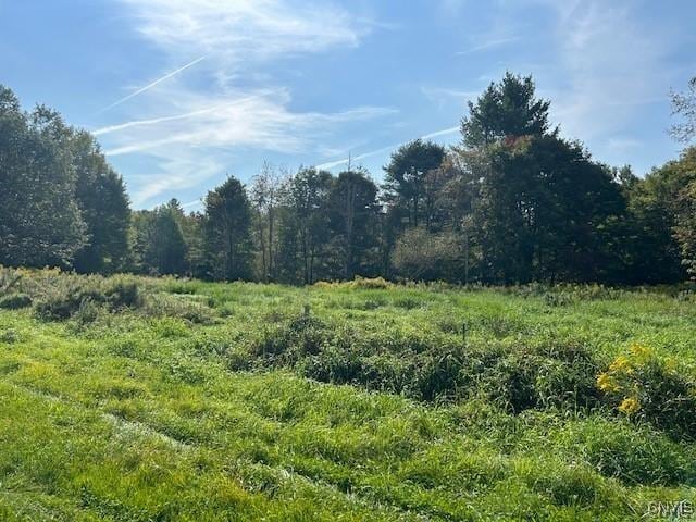 Hadcock Rd, Stratford, NY 13470