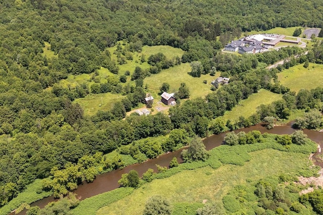 41561 State Highway 10, Delhi, NY 13753 - photo 4