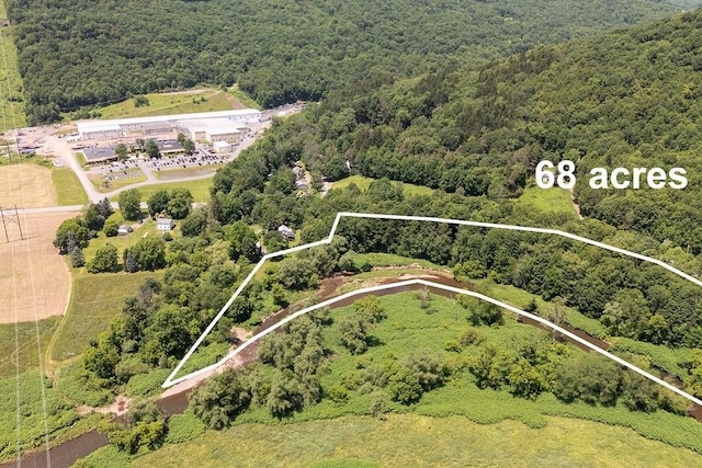 41561 State Highway 10, Delhi, NY 13753 - photo 10