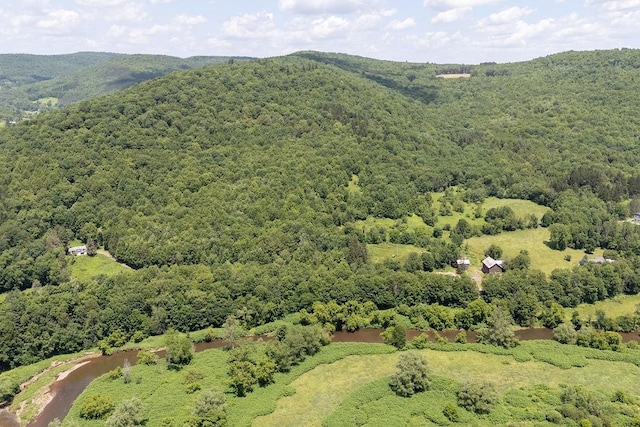 41561 State Highway 10, Delhi, NY 13753 - photo 11