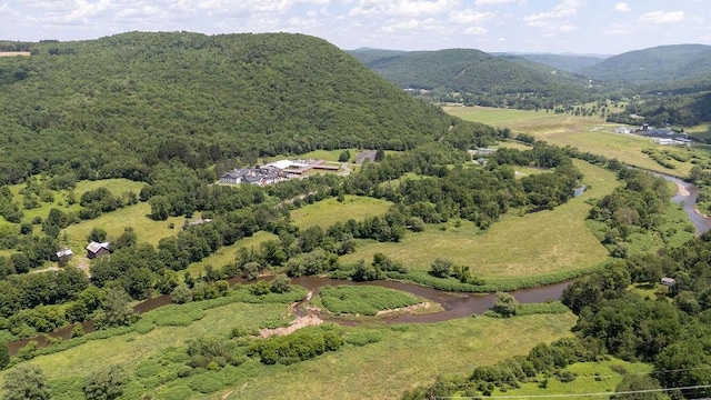 41561 State Highway 10, Delhi, NY 13753 - photo 12