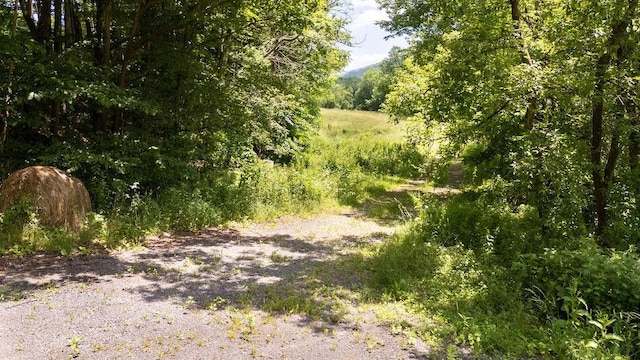 41561 State Highway 10, Delhi, NY 13753 - photo 22