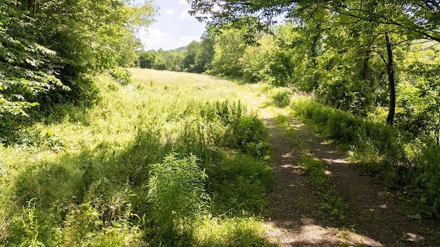 41561 State Highway 10, Delhi, NY 13753 - photo 23