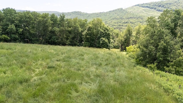 41561 State Highway 10, Delhi, NY 13753 - photo 19