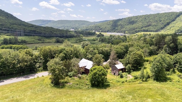 41561 State Highway 10, Delhi, NY 13753 - photo 20