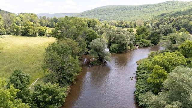 41561 State Highway 10, Delhi, NY 13753 - photo 21