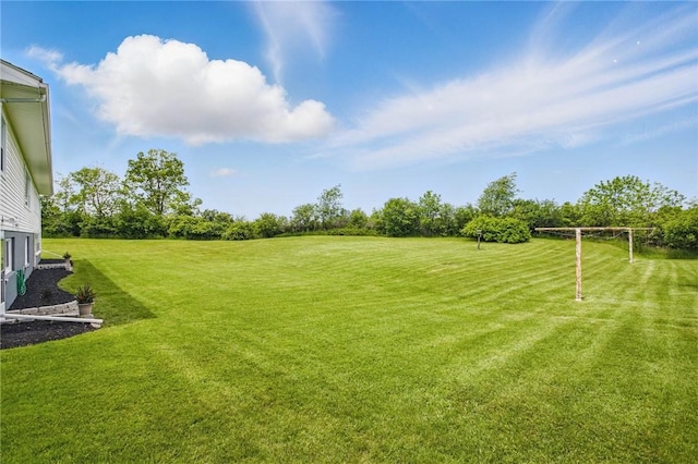8281 E Main Rd, Leroy, NY 14482 - view of yard