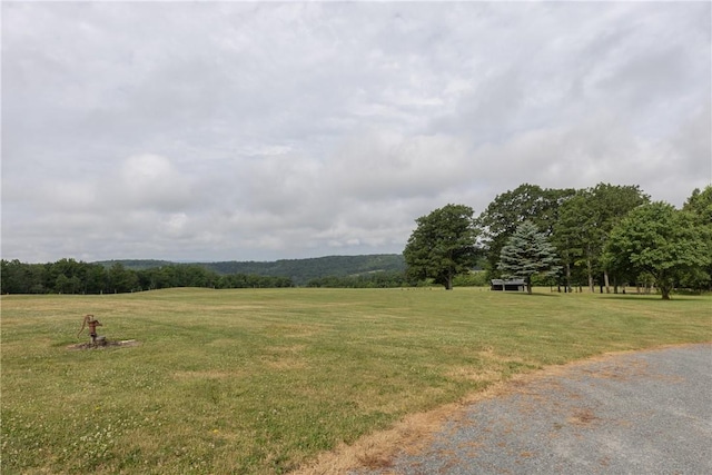 184 Comfort Rd, Southport, NY 14871 - photo 38