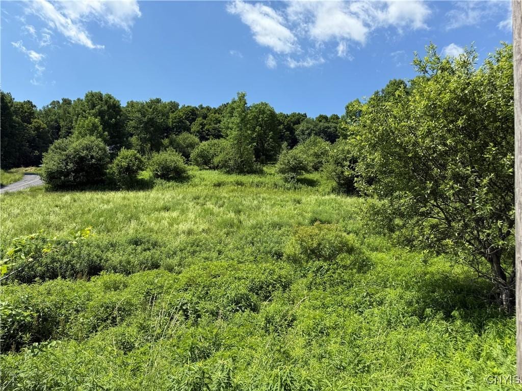 6632 Turin Rd, West Turin, NY 13473 - photo 1