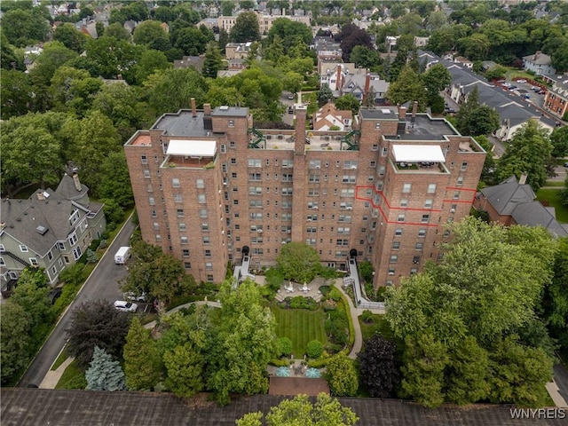 aerial view