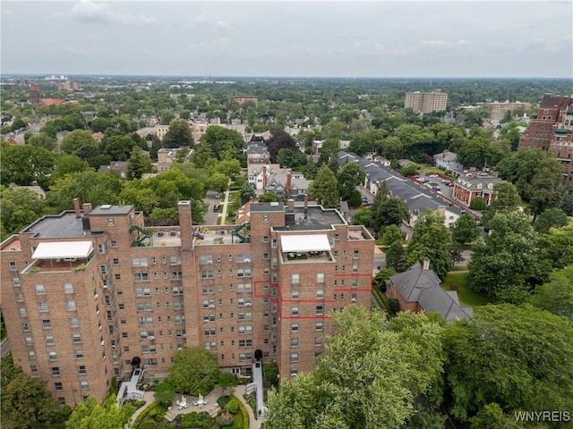 bird's eye view