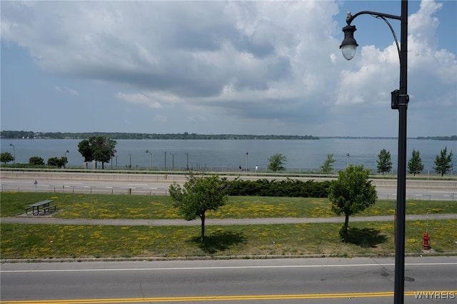 2363 Niagara St, Buffalo, NY 14207 - water view