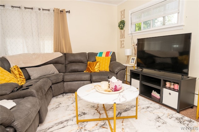 2363 Niagara St, Buffalo, NY 14207 - living room featuring crown molding