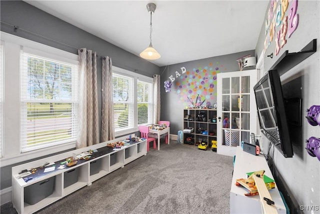 567 Grant Blvd, Syracuse, NY 13203 - recreation room featuring carpet flooring