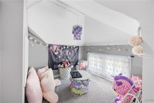 567 Grant Blvd, Syracuse, NY 13203 - carpeted bedroom featuring lofted ceiling