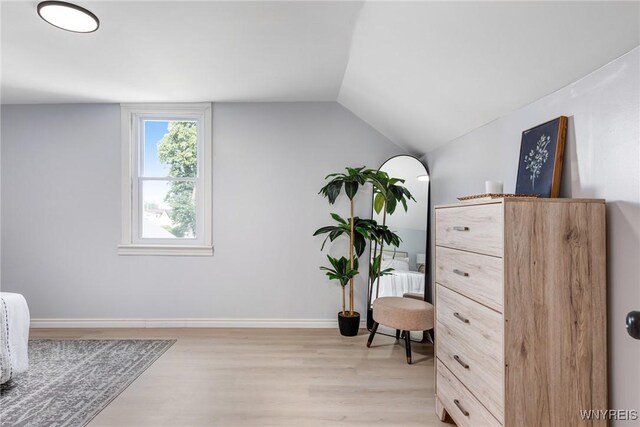 185 N Pleasant Pkwy, Cheektowaga, NY 14206 - sitting room featuring light wood finished floors and lofted ceiling