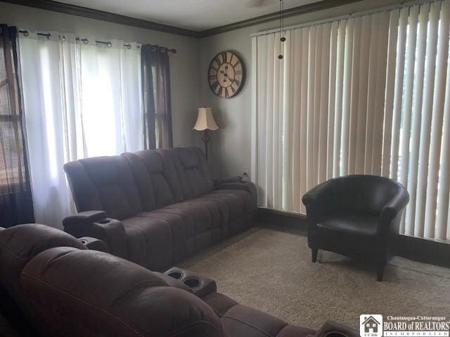 6 Dean St, Randolph, NY 14772 - living area with carpet flooring and ornamental molding
