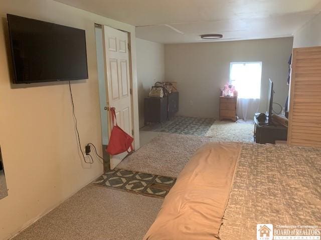 6 Dean St, Randolph, NY 14772 - view of carpeted bedroom