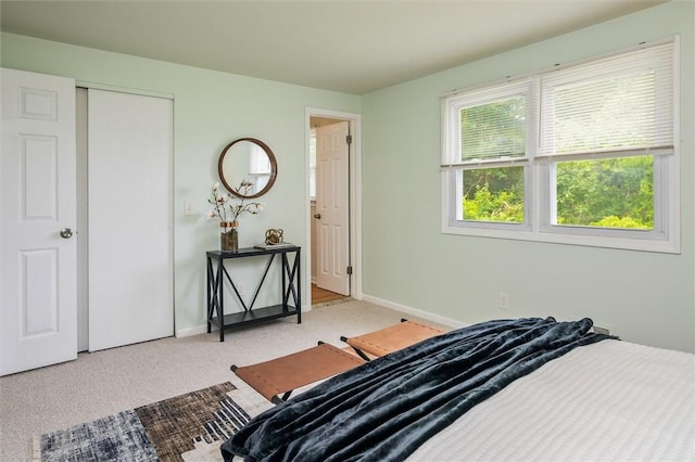 42 Twin Circle Dr, Gates, NY 14624 - bedroom with carpet floors and a closet