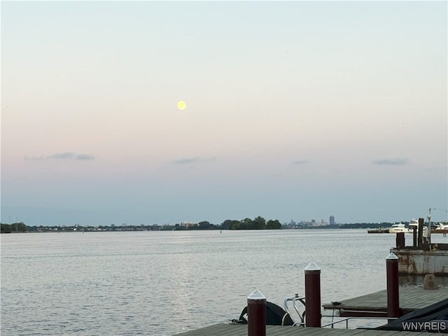 653 S S Colony Rd, Grand Island, NY 14072 - water view featuring a boat dock