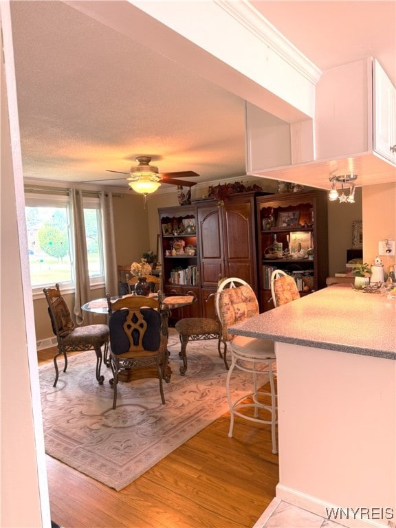 653 S S Colony Rd, Grand Island, NY 14072 - dining area featuring light wood-style flooring and a ceiling fan