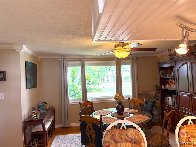 653 S S Colony Rd, Grand Island, NY 14072 - dining room featuring plenty of natural light, light wood-type flooring, crown molding, and ceiling fan
