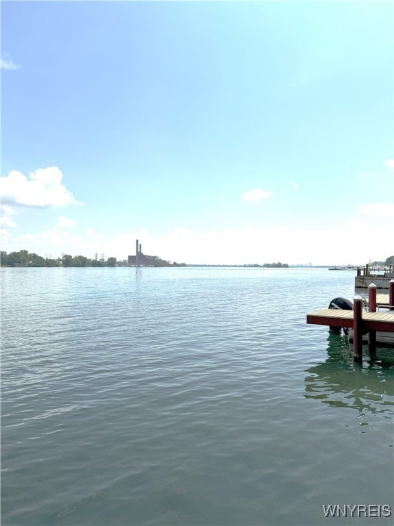653 S S Colony Rd, Grand Island, NY 14072 - water view with a boat dock