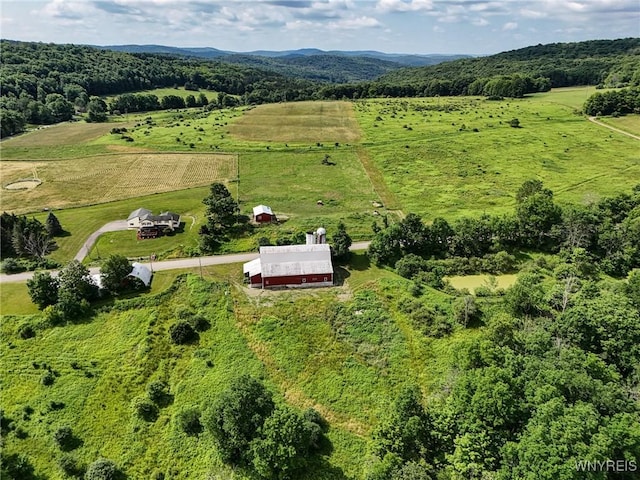 9935 Swift Rd, Cuba, NY 14727 - photo 9