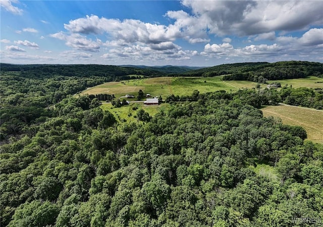 9935 Swift Rd, Cuba, NY 14727 - photo 10